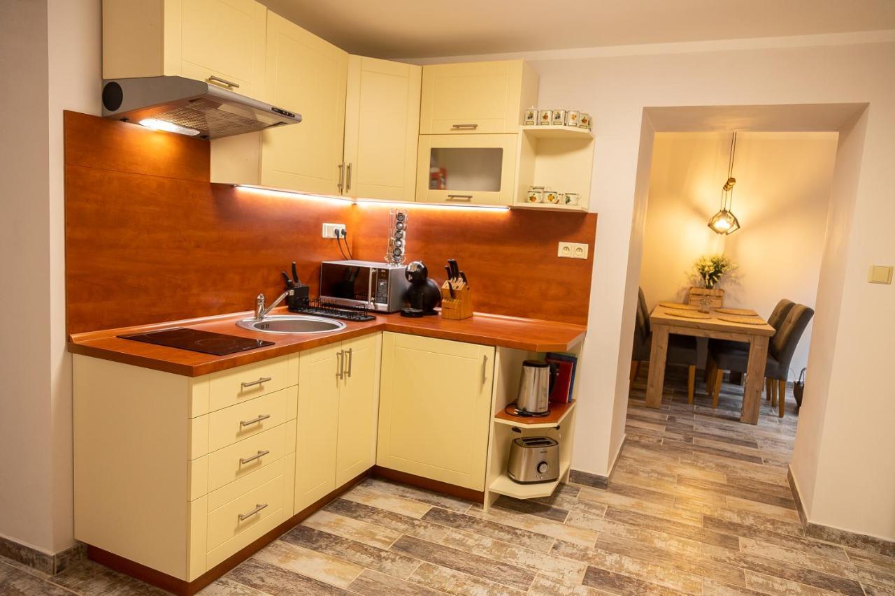 Villa Prazdninovy Dum Valdik à Loket Extérieur photo